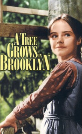 a tree grows in brooklyn by betty smith