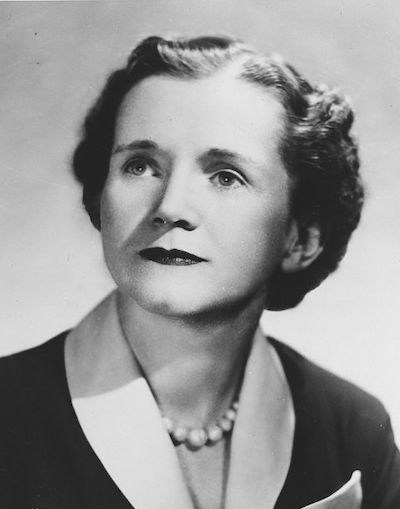 Rachel Carson, Author of Silent Spring - Literary Ladies Guide