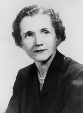 Rachel Carson, Author of Silent Spring - Literary Ladies Guide